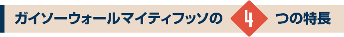 ガイソーウォールマイティフッソの4つの特徴